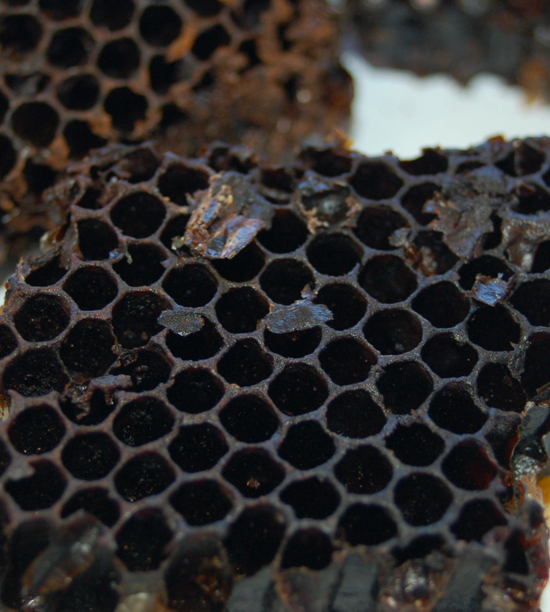 Cire d'abeille BIO – 100g - Ruche et Flore